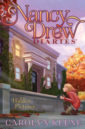 Cover of the book Hidden Pictures by Bruce Coville