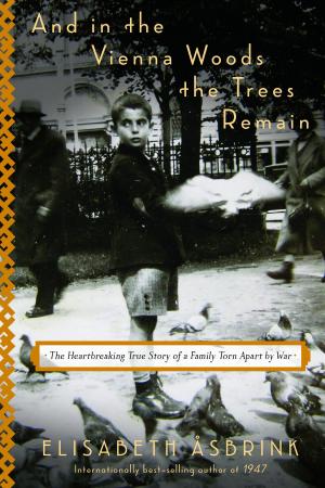 Cover of the book And in the Vienna Woods the Trees Remain by Jonathan Rabb