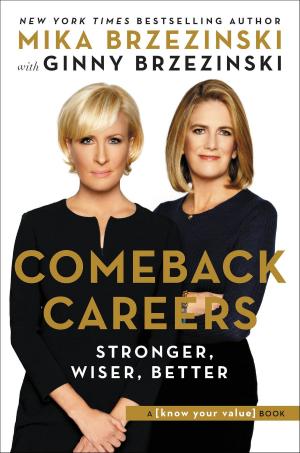 bigCover of the book Comeback Careers by 