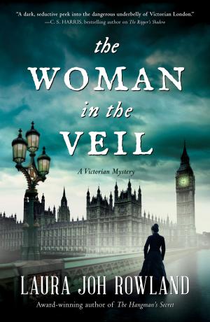 Cover of the book The Woman in the Veil by Jonathan F. Putnam