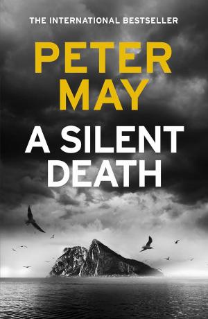 Cover of the book A Silent Death by Philip Wilkinson