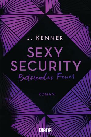 Cover of the book Sexy Security by Kristina Steffan