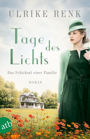 Cover of the book Tage des Lichts by Fran Smith