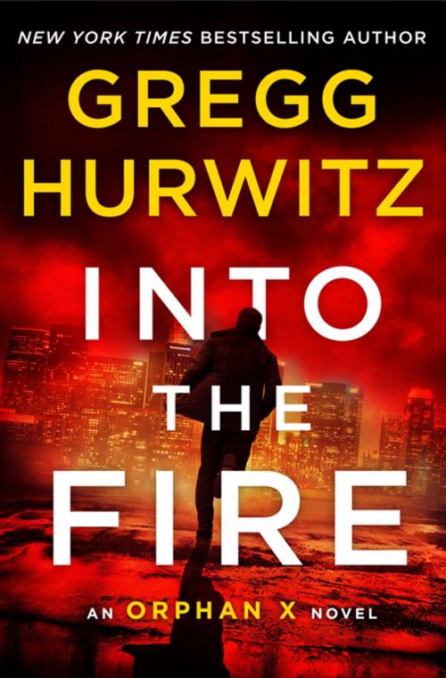 Cover of the book Into the Fire by Gregg Hurwitz, St. Martin's Publishing Group