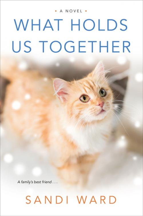 Cover of the book What Holds Us Together by Sandi Ward, Kensington Books