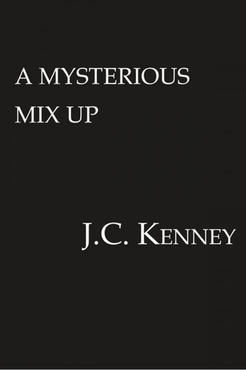 Cover of the book A Mysterious Mix Up by J.C. Kenney, Lyrical Press
