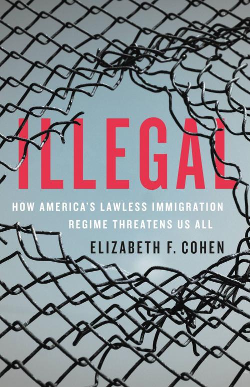 Cover of the book Illegal by Elizabeth F. Cohen, Basic Books