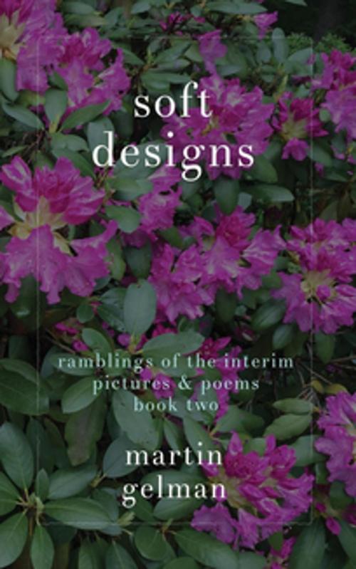 Cover of the book soft designs by Martin Gelman, Rodney Miles, Martin Gelman