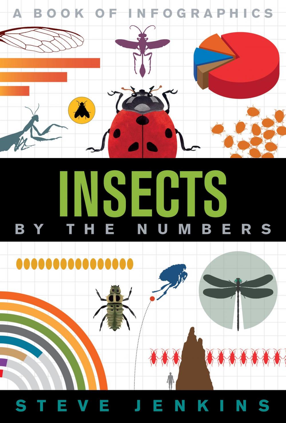 Big bigCover of Insects