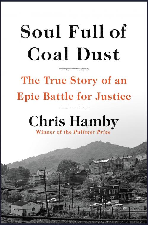 Cover of the book Soul Full of Coal Dust by Chris Hamby, Little, Brown and Company