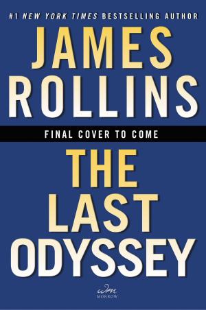 Cover of the book The Last Odyssey by Stephen C. Barns, Ryan D. Duval