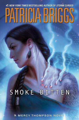 Cover of the book Smoke Bitten by Catherine Coulter