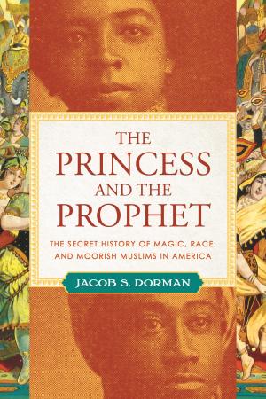 Cover of the book The Princess and the Prophet by Donald Hall