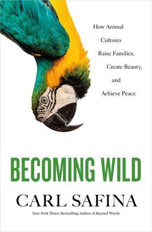 Cover of the book Becoming Wild by Noam Chomsky