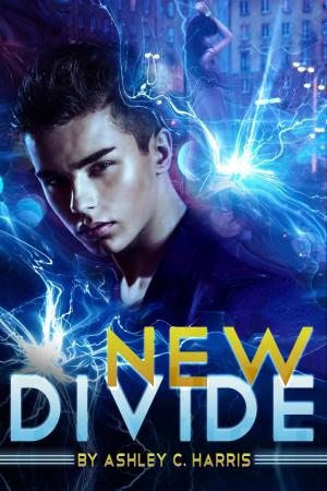 Cover of the book New Divide by W.L. Liberman