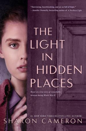 Cover of the book The Light in Hidden Places by M. G. Leonard