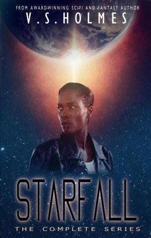 Cover of the book Starfury by Scott C Larsen