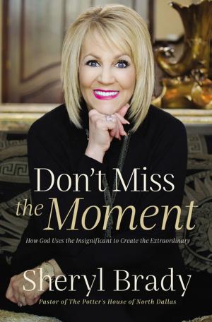 Cover of the book Don't Miss the Moment by Sheila Walsh