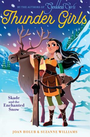 Book cover of Skade and the Enchanted Snow