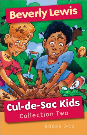 Cover of the book Cul-de-Sac Kids Collection Two by Neil T. Anderson