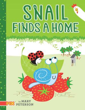 Cover of the book Snail Finds a Home by Jonathan Roth