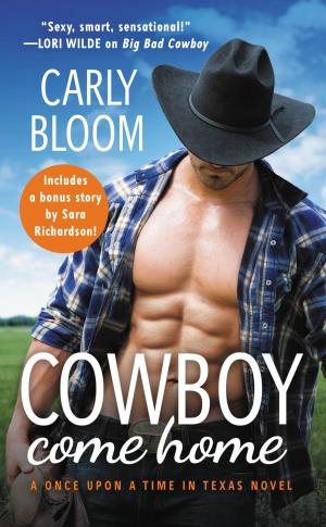 Cover of the book Cowboy Come Home by Sara Blaedel