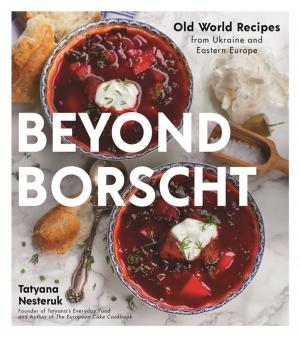 Cover of the book Beyond Borscht by Jennifer Robins