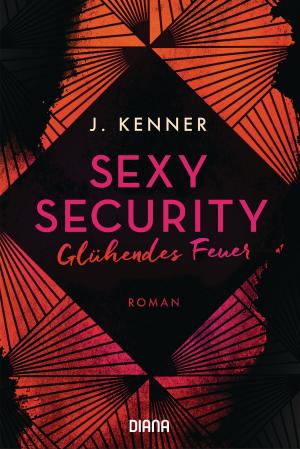 Cover of the book Sexy Security by Susanne Reinker