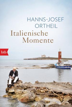 Cover of the book Italienische Momente by Rolf Börjlind, Cilla Börjlind