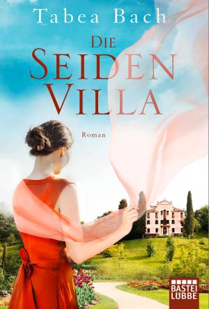 Book cover of Die Seidenvilla