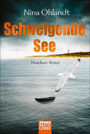 Cover of the book Schweigende See by Natalie Rabengut