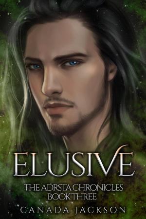 Cover of the book Elusive by J. Jay Kamp