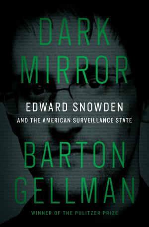 Book cover of Dark Mirror