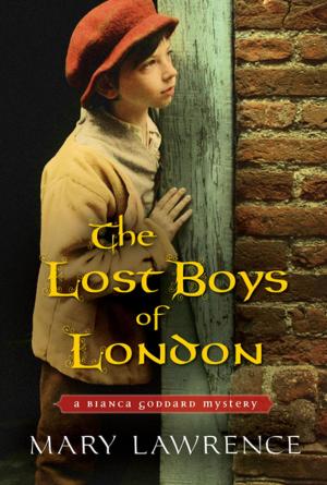 Book cover of The Lost Boys of London