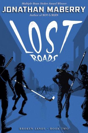 Cover of the book Lost Roads by RJ Evanovich, LJ Stamm