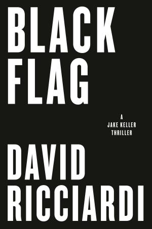 Cover of the book Black Flag by E.J. Copperman