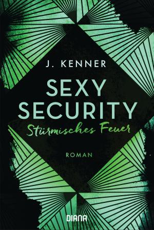 Cover of the book Sexy Security by Petra Hammesfahr