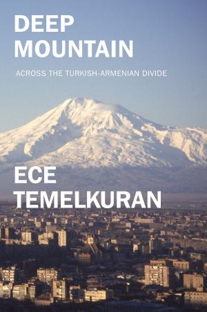 Cover of the book Deep Mountain by McKenzie Wark