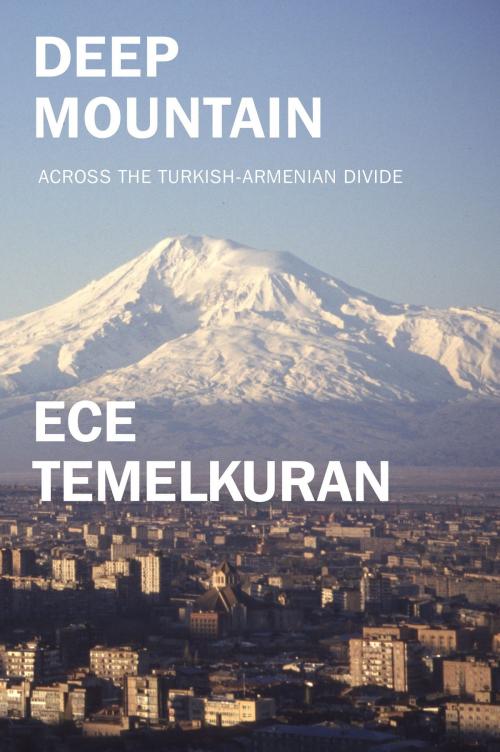 Cover of the book Deep Mountain by Ece Temelkuran, Verso Books