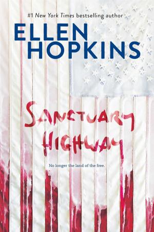 Cover of the book Sanctuary Highway by Sarah Fine