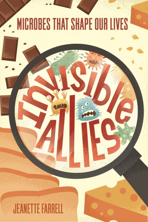 Cover of the book Invisible Allies by Jeanette Farrell, Farrar, Straus and Giroux (BYR)